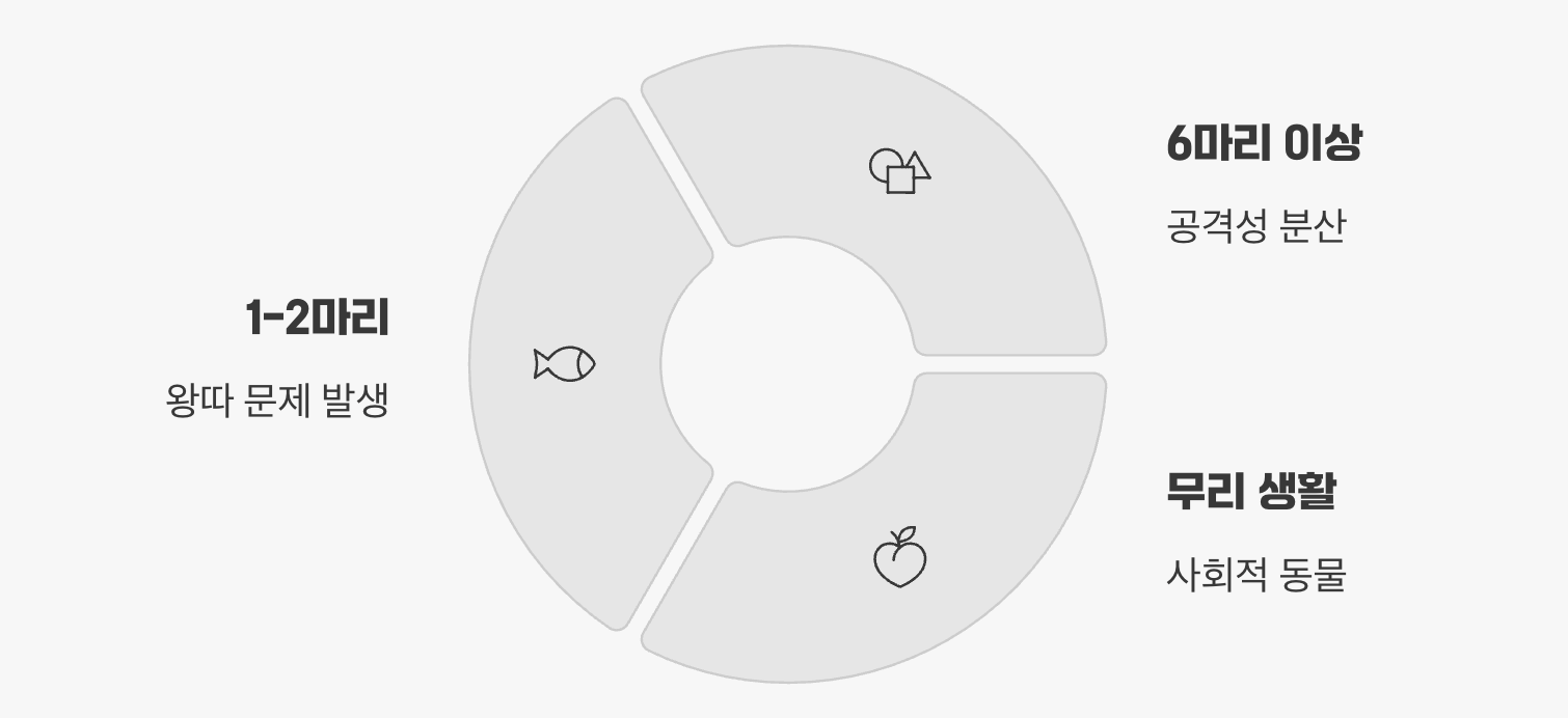 '혼자가 아닌, 여섯'이 평화를 부른다