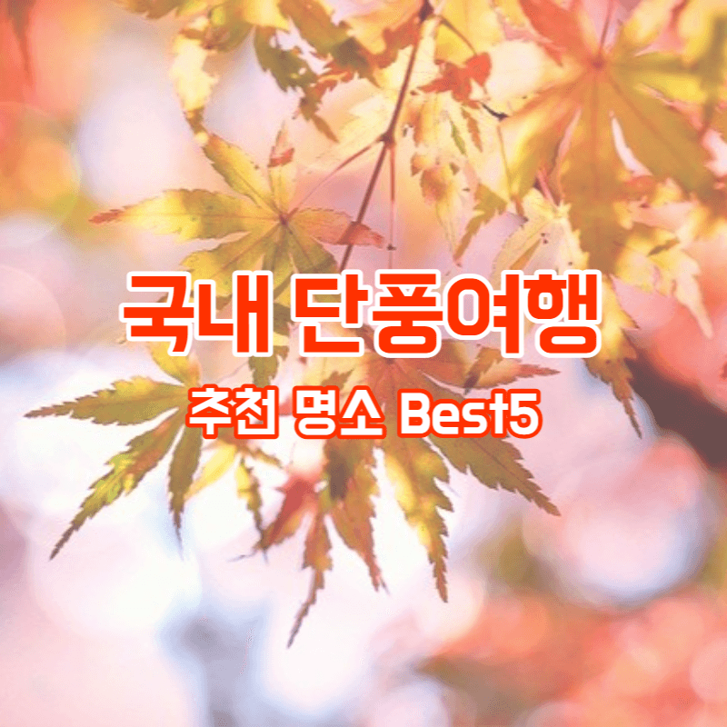 단풍 여행하기 좋은곳