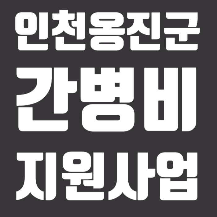 인천옹진군 간병비지원사업