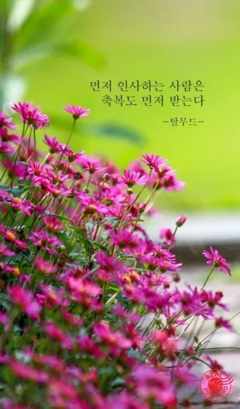 환절기 인사말 모음 예시 멘트_7