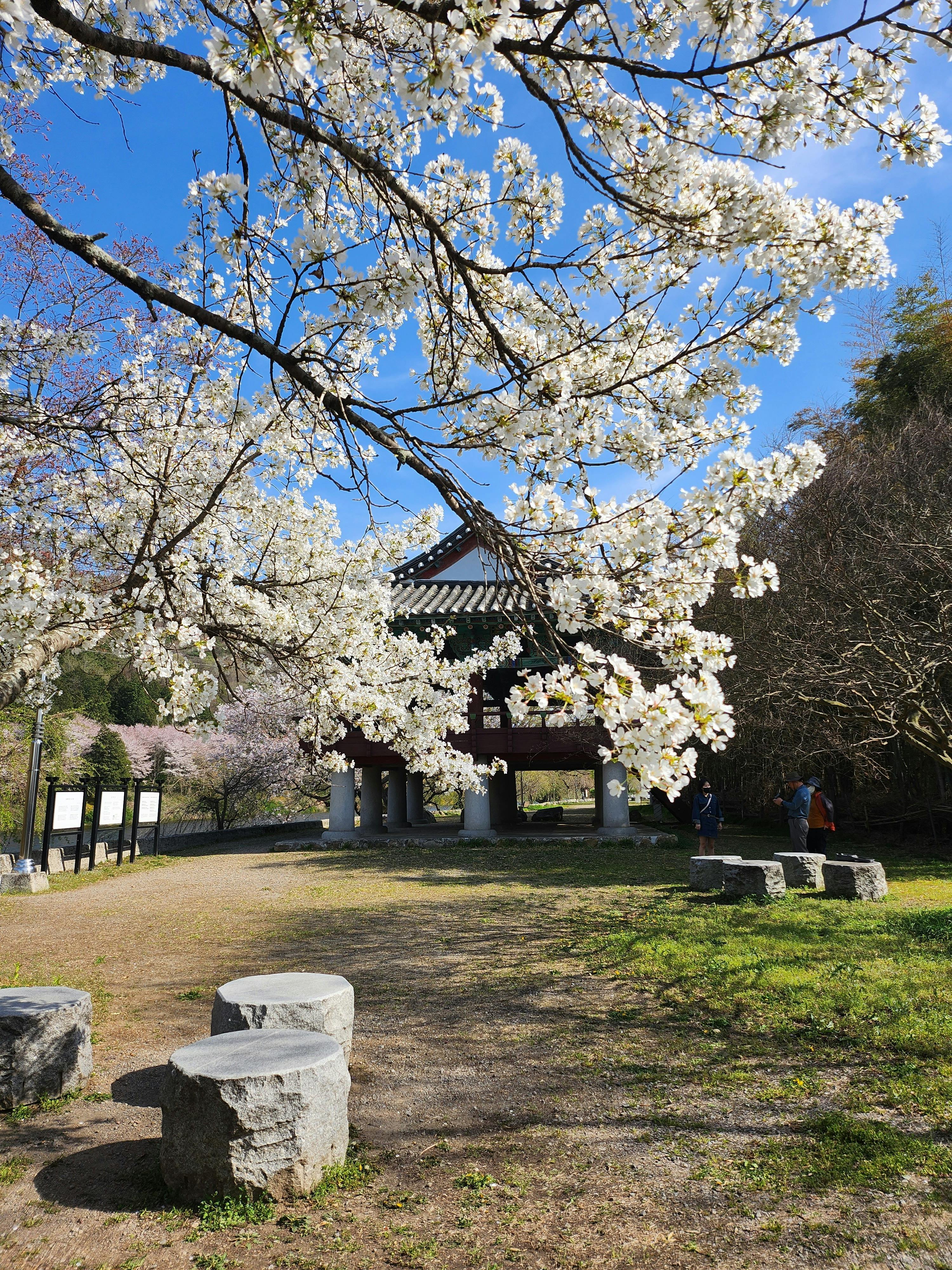 2025 원주시 전국민 민생지원금 25만원 지급받기 - 소비쿠폰 신청 받는방법