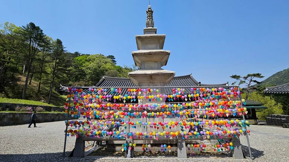 원주 구룡사 : 아홉 용의 전설과 황장목 숲길이 주는 휴식