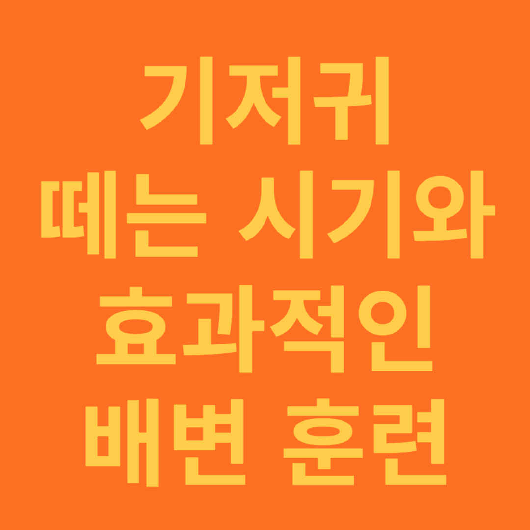 귀저귀 떼는 시기와 효과적인 배변 훈련 방법