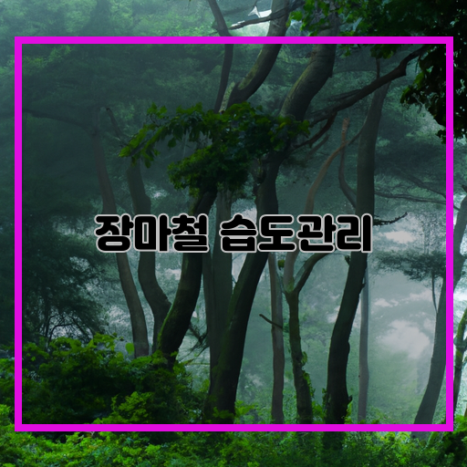 습한-기운-장마철-습도관리