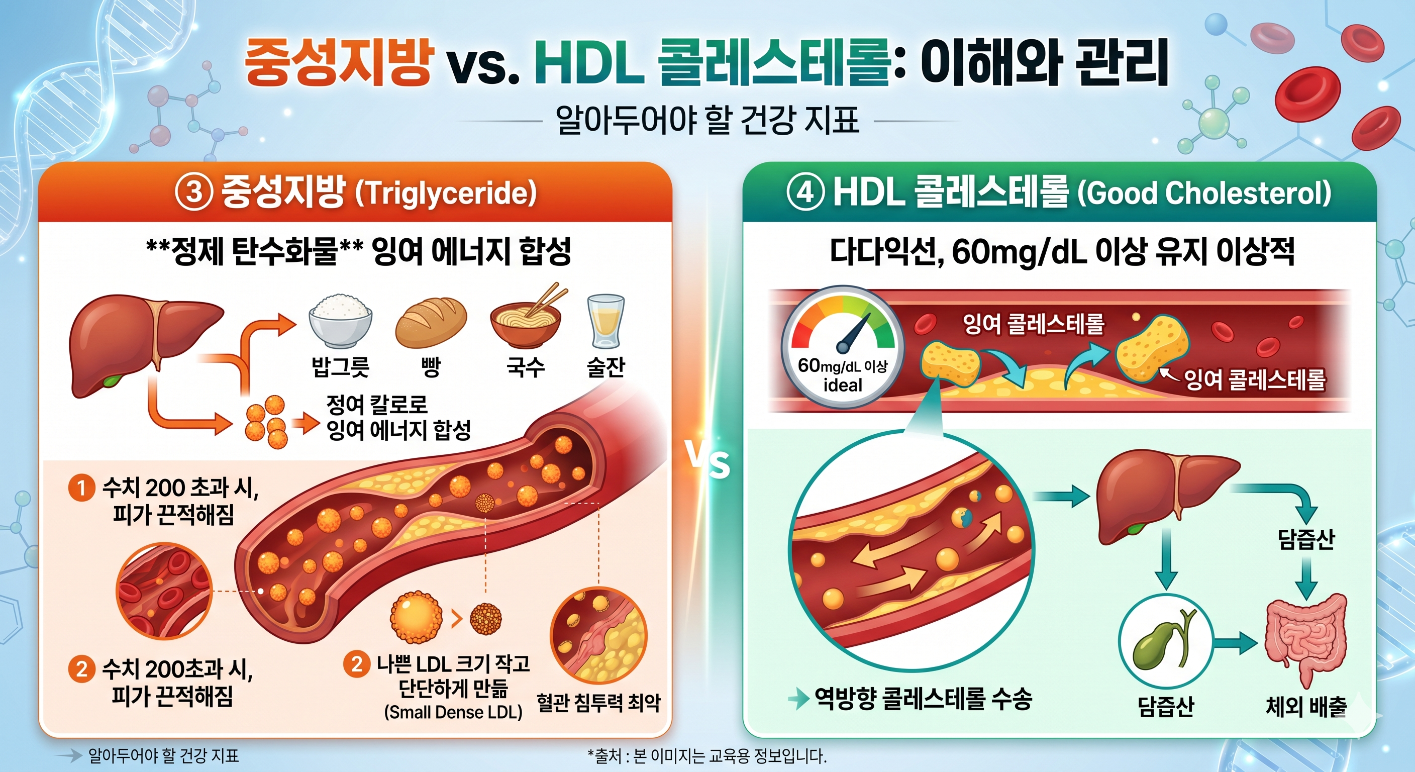 중성지방은 낮게, HDL은 높게 유지하는 게 좋다