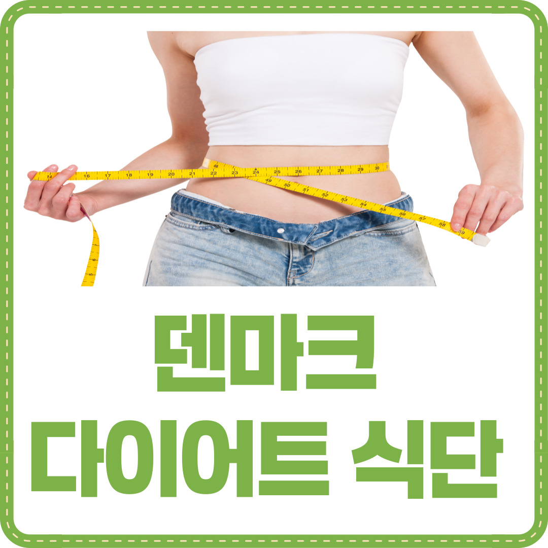 덴마크 다이어트