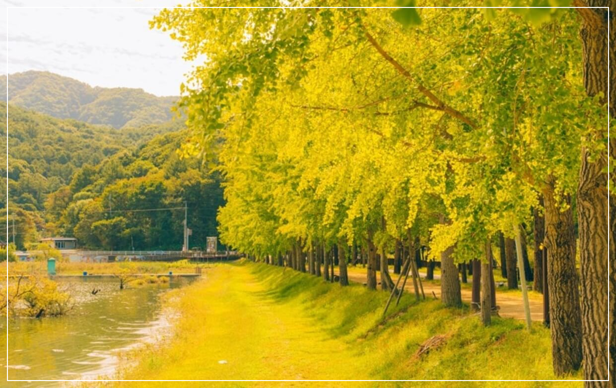 괴산 가볼만한곳 베스트10 연하협구름다리