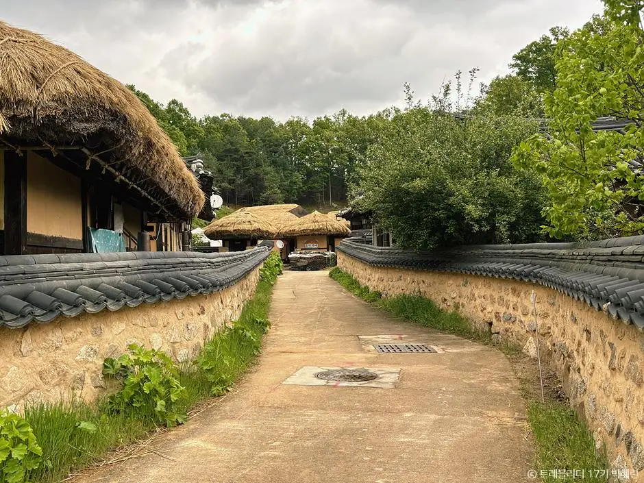 e201f44f-2fe0-48dd-840b-b25e322f7598