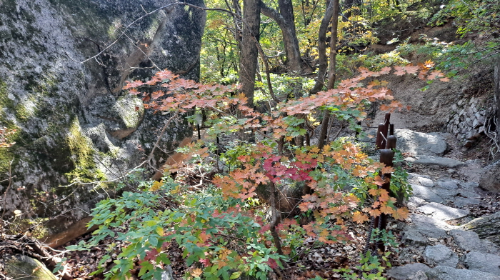 설악산_단풍여행_총정리