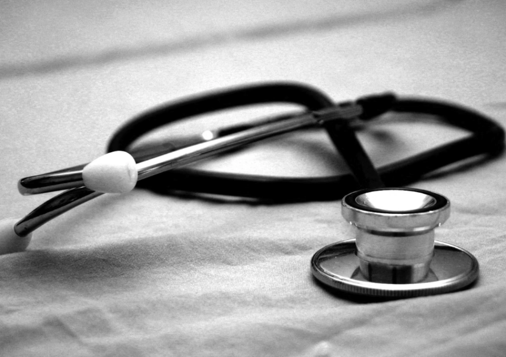 일본뇌염 접종열