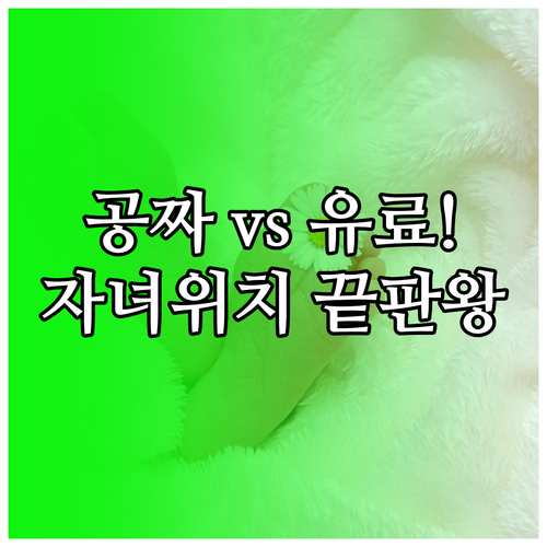 자녀 위치 확인 서비스 비용 비교 무..