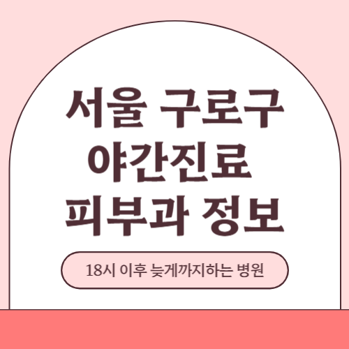 서울 구로구 야간진료 피부과 병원 (18시 이후 늦게까지하는 병원)