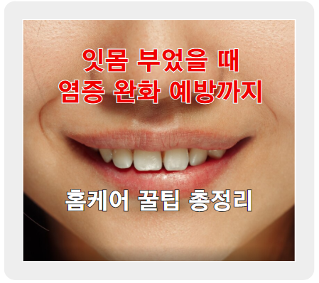 잇몸 부었을 때 염증 완화부터 예방까지 홈케어 꿀팁 총정리