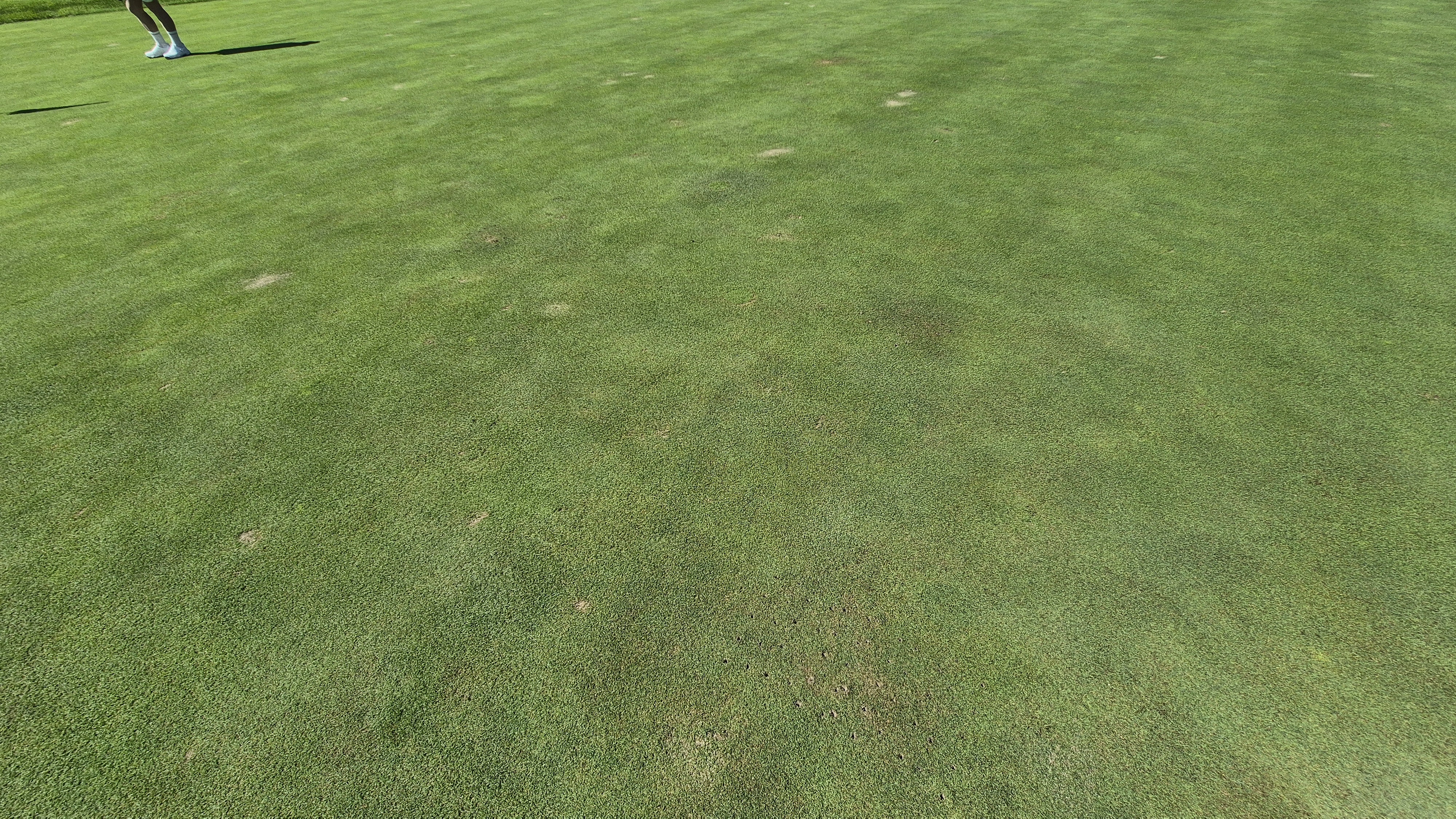 마론cc 라운드 후기