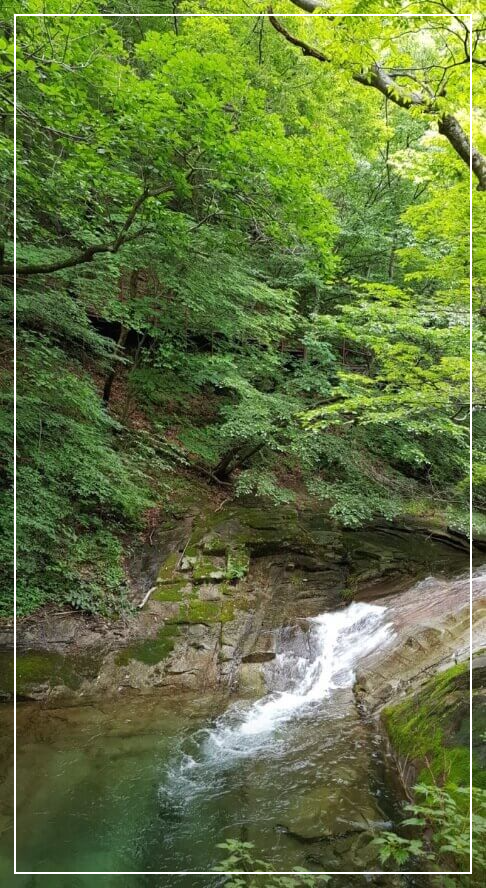 공주 가볼만한곳 베스트10 동학사