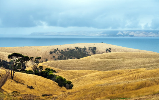 [1-2월 호주 시드니 멜번 브리즈번 퍼스 여행준비물] 날씨 해외로밍 (2025)