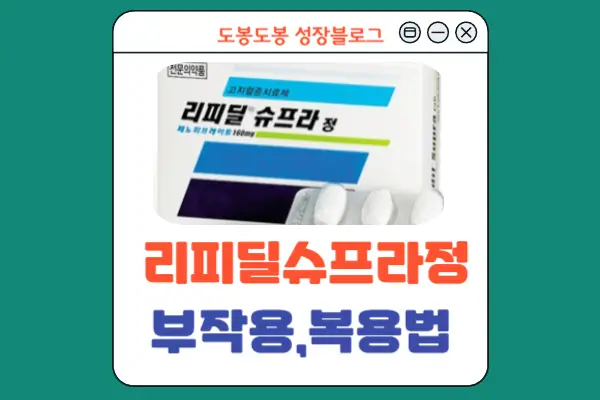 리피딜슈프라정 안내
