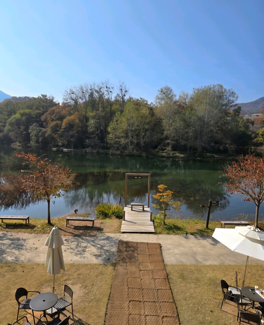 서울·근교 강아지와 함께 갈 수 있는 펫카페 추천 & 방문 꿀팁 총정리