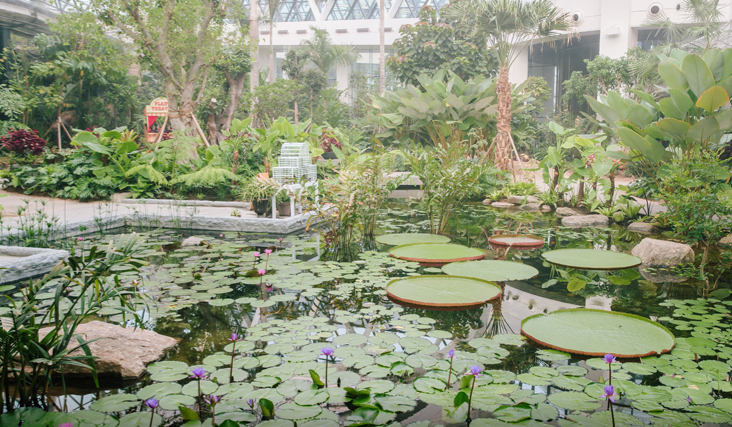 2026 대중교통 정액패스 지역 경제와 사회적 효과