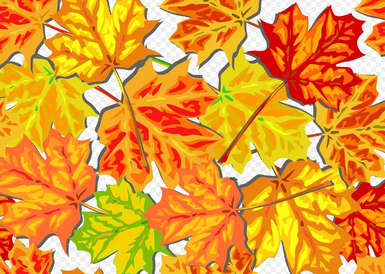 2023년 가을축제 단풍축제 추천 best3 (쁘띠프랑스 & 이탈리아마을)