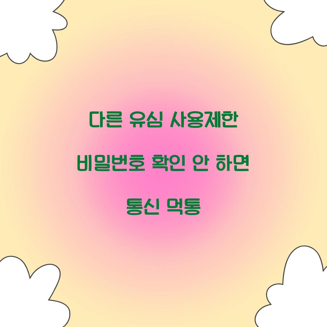 다른 유심 사용제한 비밀번호