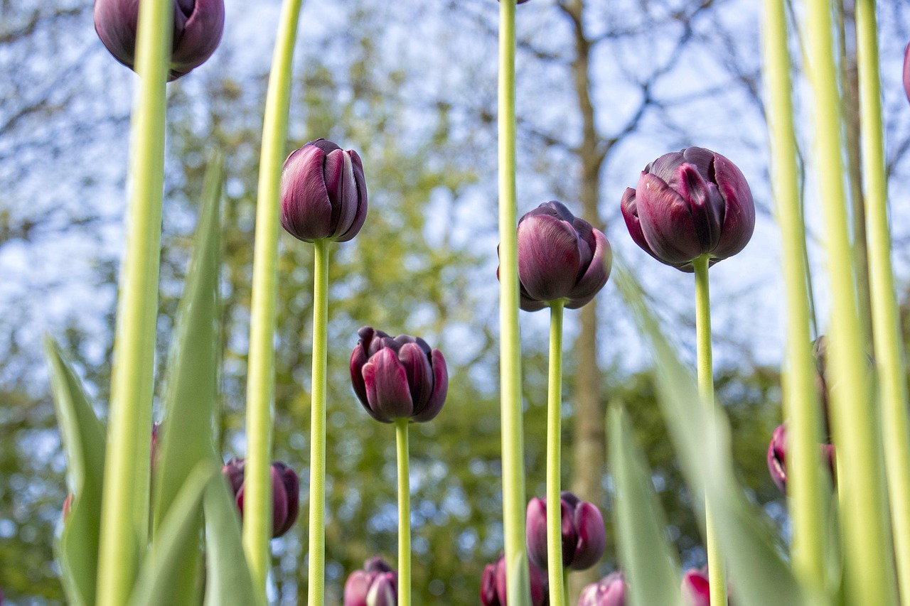  청송 가볼만한곳