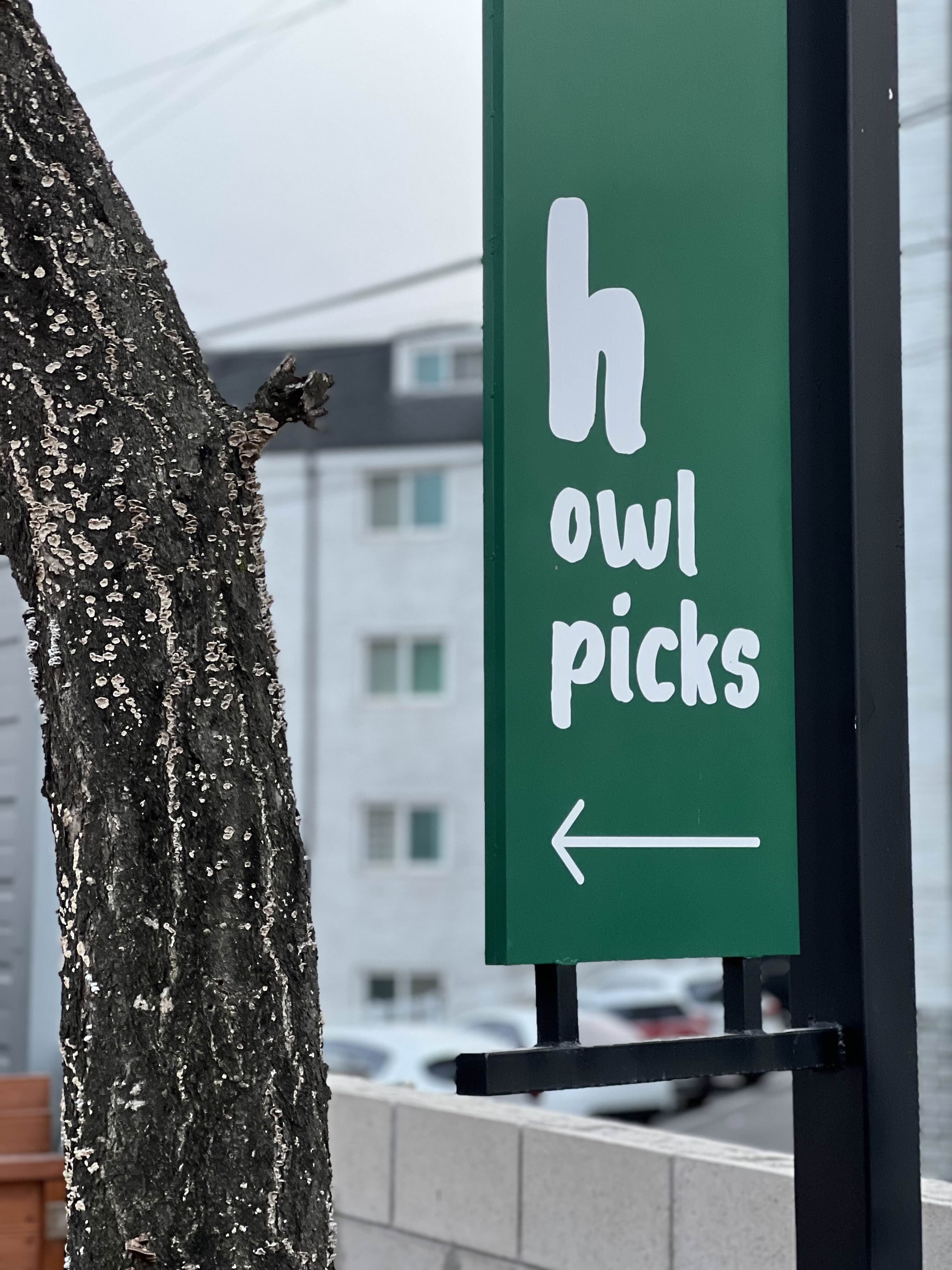 일산 애견동반카페