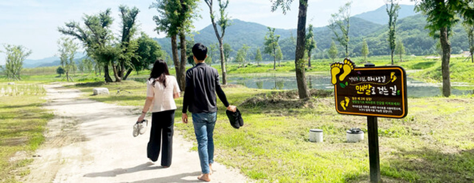 거창 창포원 가볼만한 이유 6가지, 지금 떠나야 할 이유!