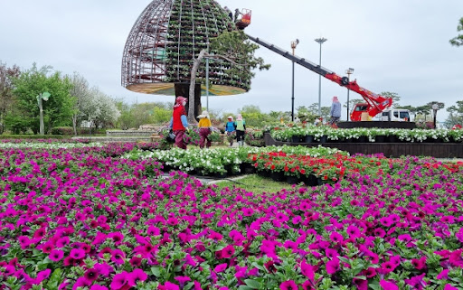 함평나비축제 이미지