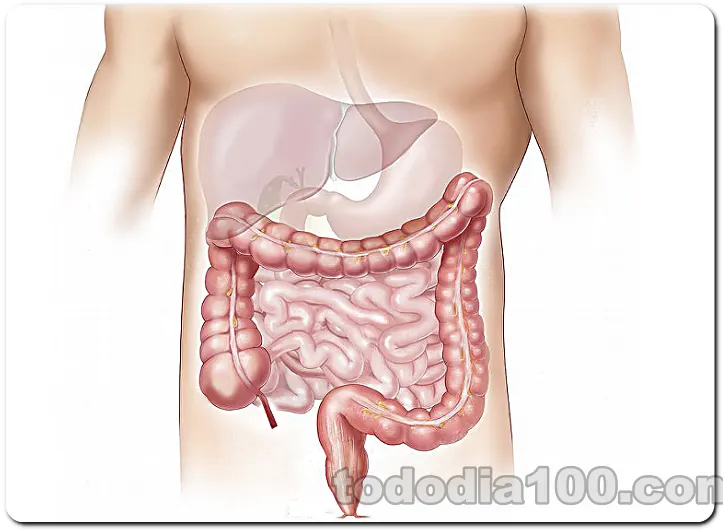 개발 지속되게 내장 치료