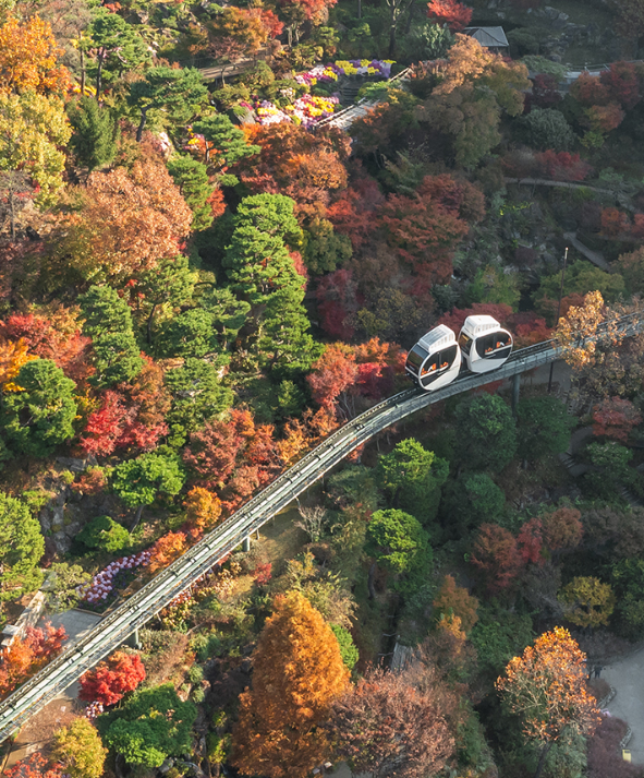 10월 화담숲 예약 방법