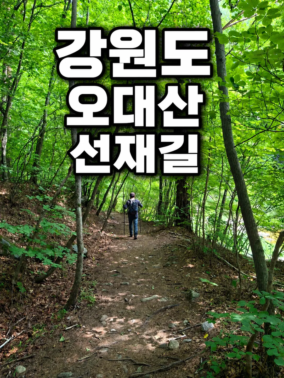 강원도 평창 오대산 선재길 트레킹 시간 교통 투어