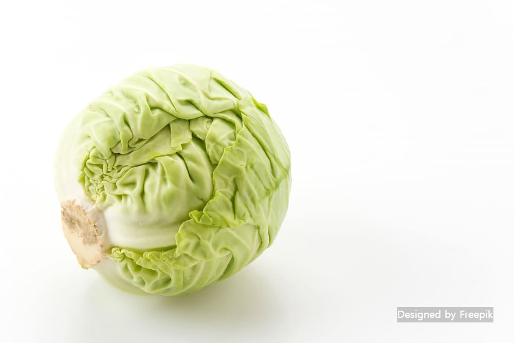 양배추 효능