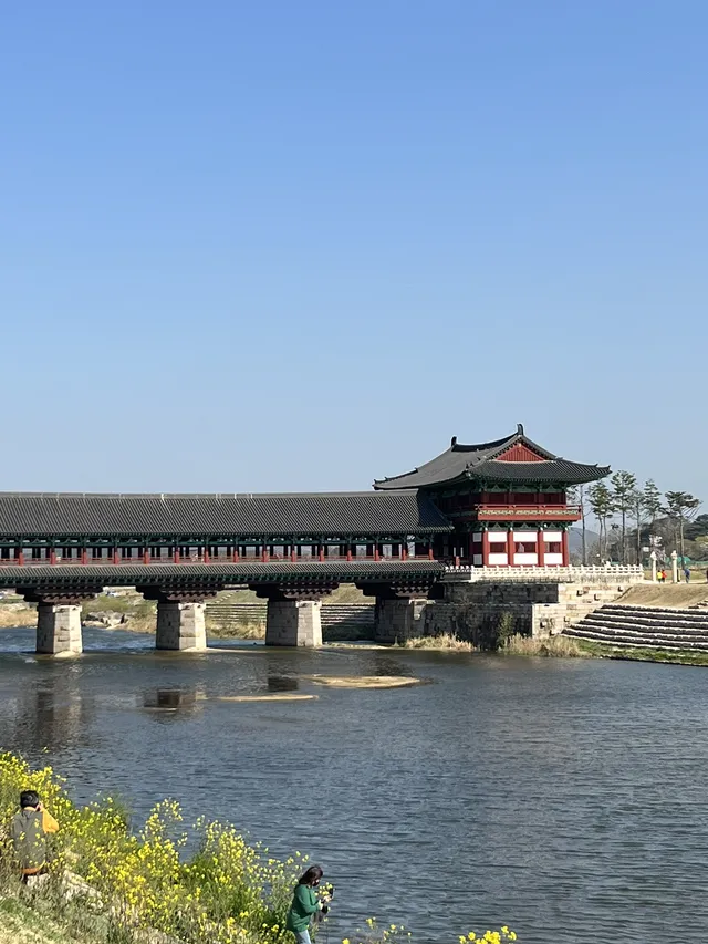 경주 낮과 밤의 매력(역사,억거리,걷기)