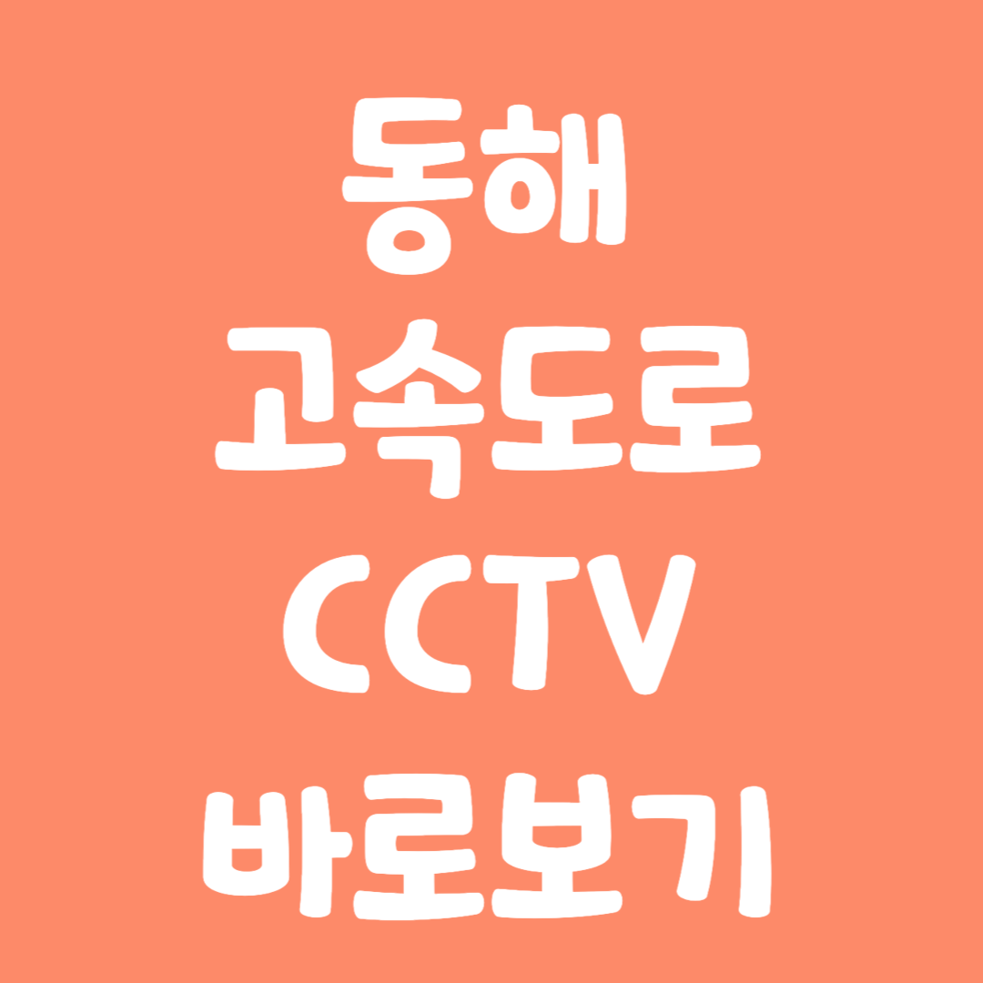 실시간 동해 고속도로 CCTV 바로보기