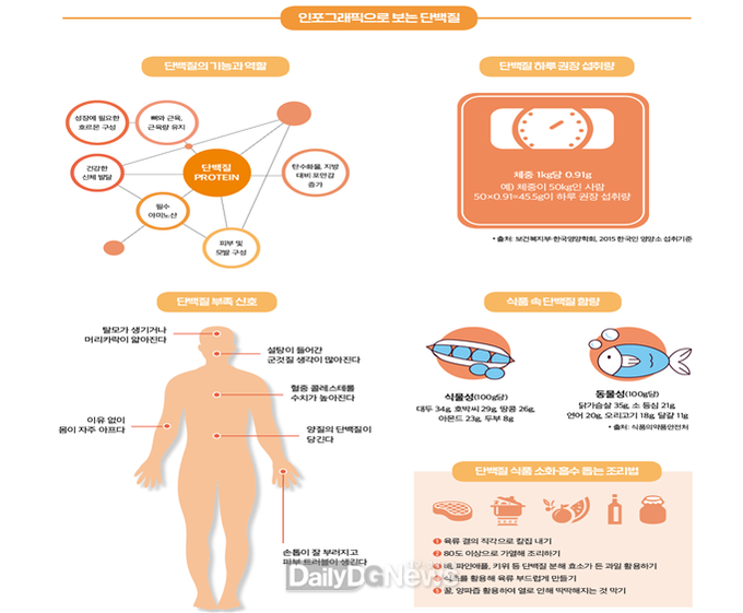 단백질 기능과 역할 &amp; 단백질 하루 권장 섭취량/ 출처 - DailyDGNews