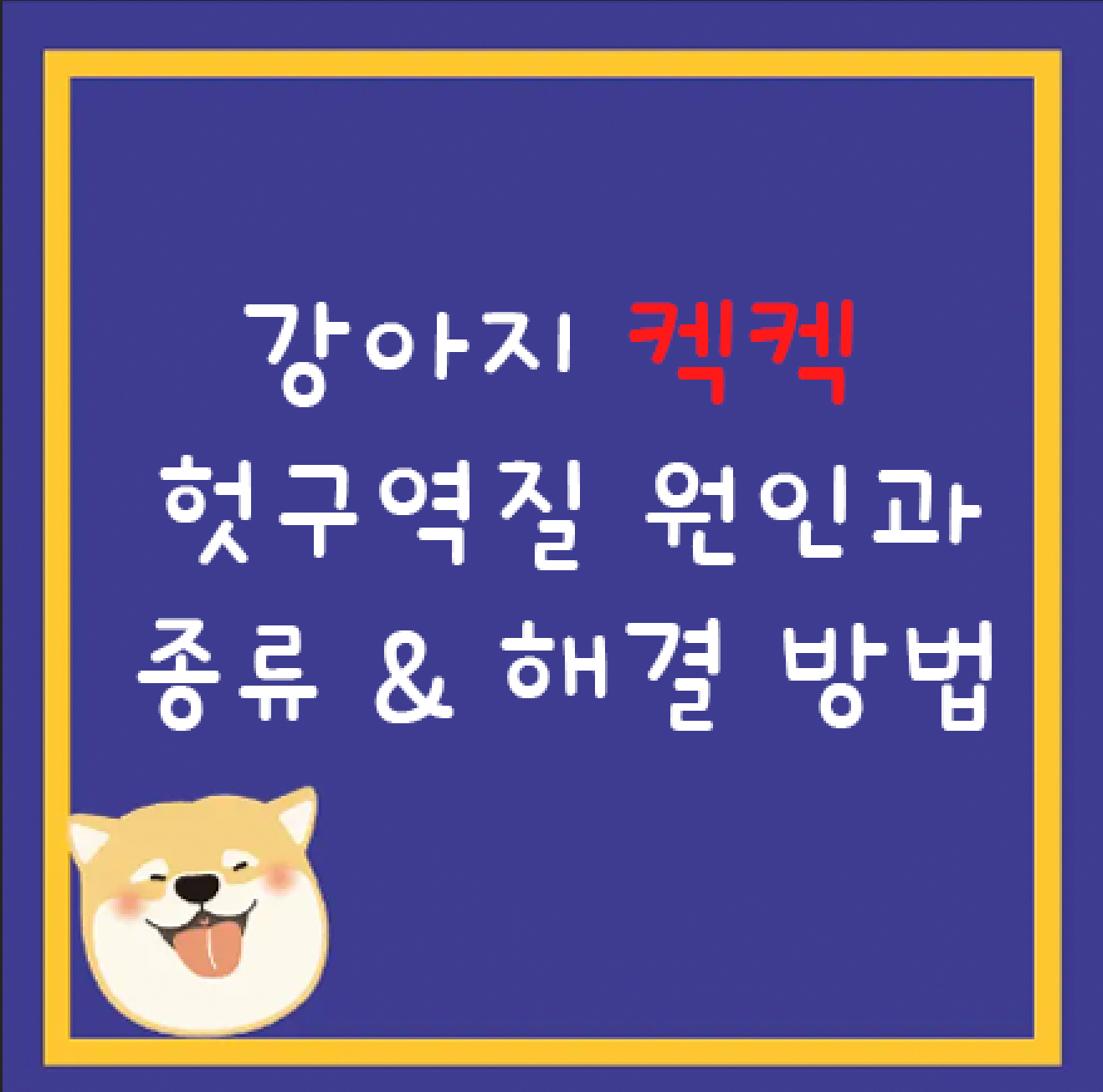 강아지 켁켁