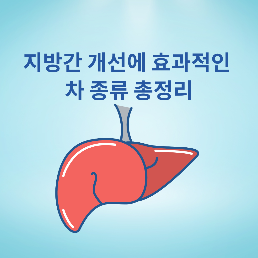 지방간 개선에 효과적인 차 종류 총정리