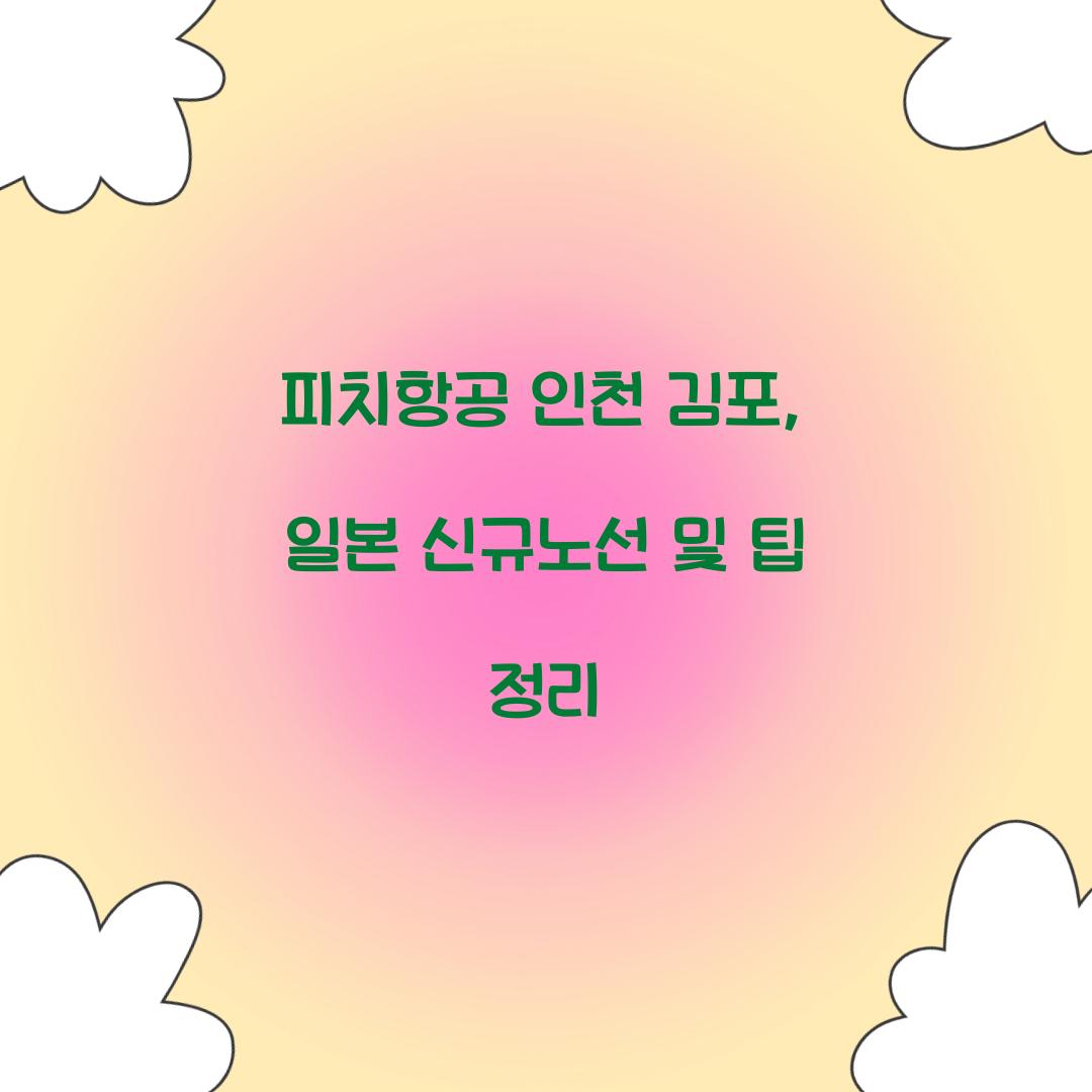 피치항공 인천 김포