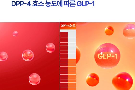 위고프로 효과