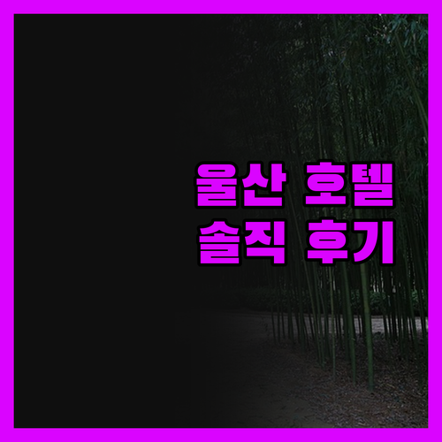 울산 호텔 선택, 고민 끝! 내돈내산