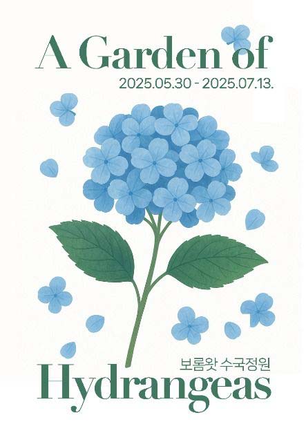 제주도 여행의 꽃, 2025 보롬왓 수국정원 축제에서 힐링하세요