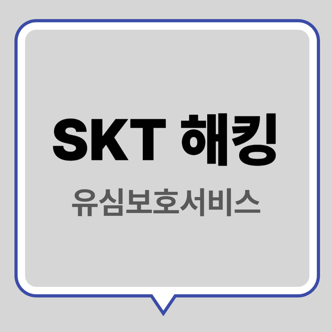 SKT 해킹 유심보호서비스