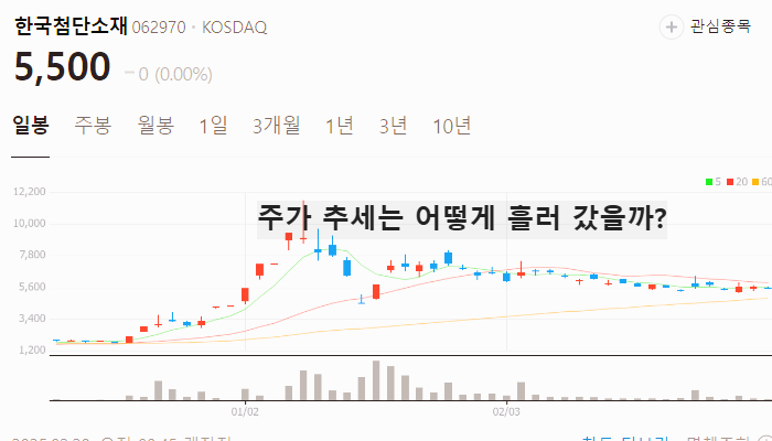 양자컴퓨터 관련주 대장주 테마주 TOP7 : 오셀롯