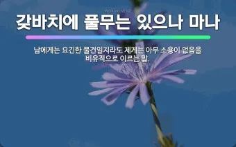 내일 모레 내일 모래 올바른 표현 알아보기 완벽 가이드_16