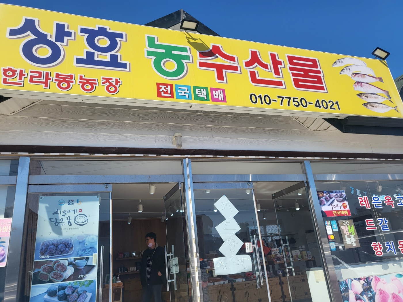 제주도 한라봉 체험&amp;#44; 감귤 체험