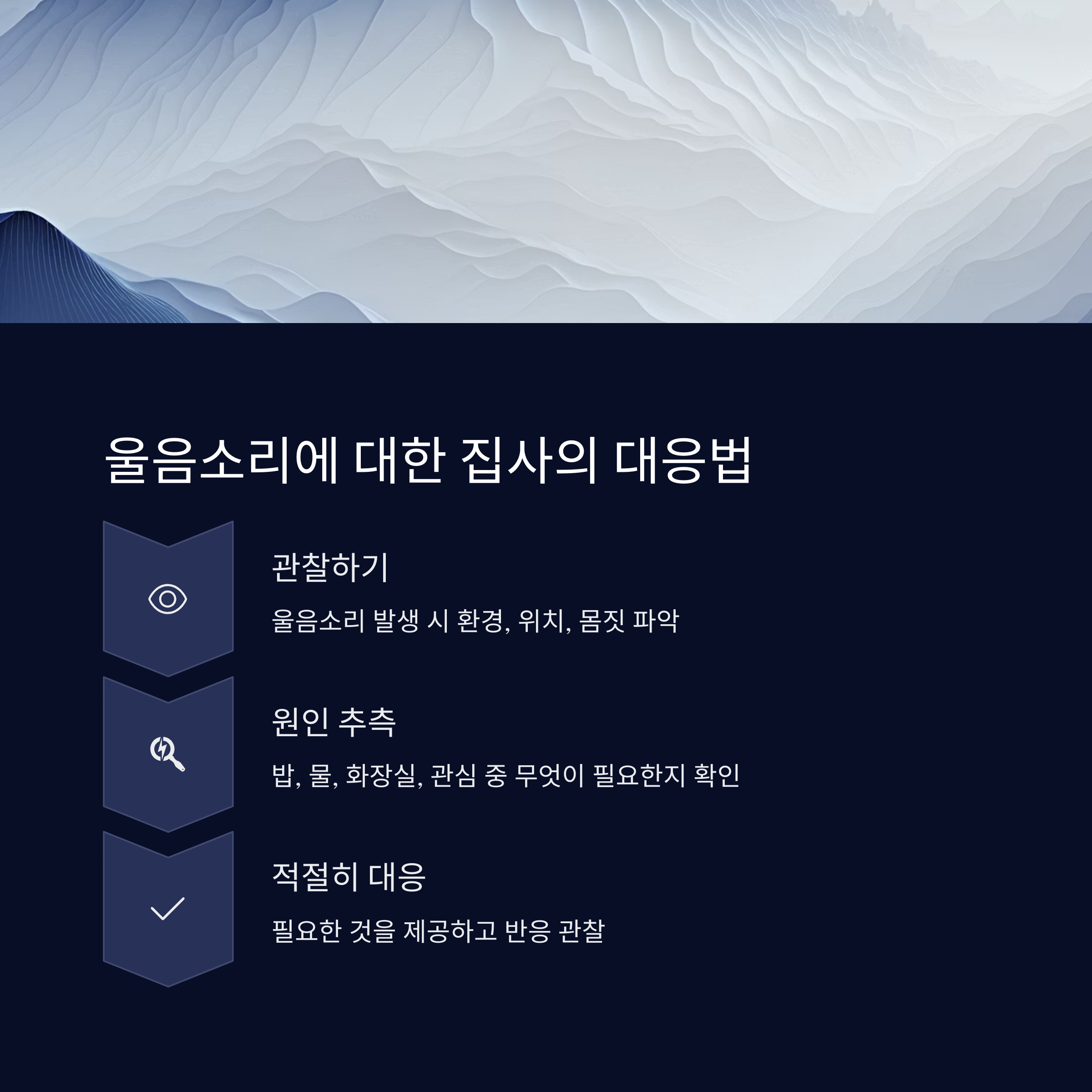 울음소리 집사 대응법