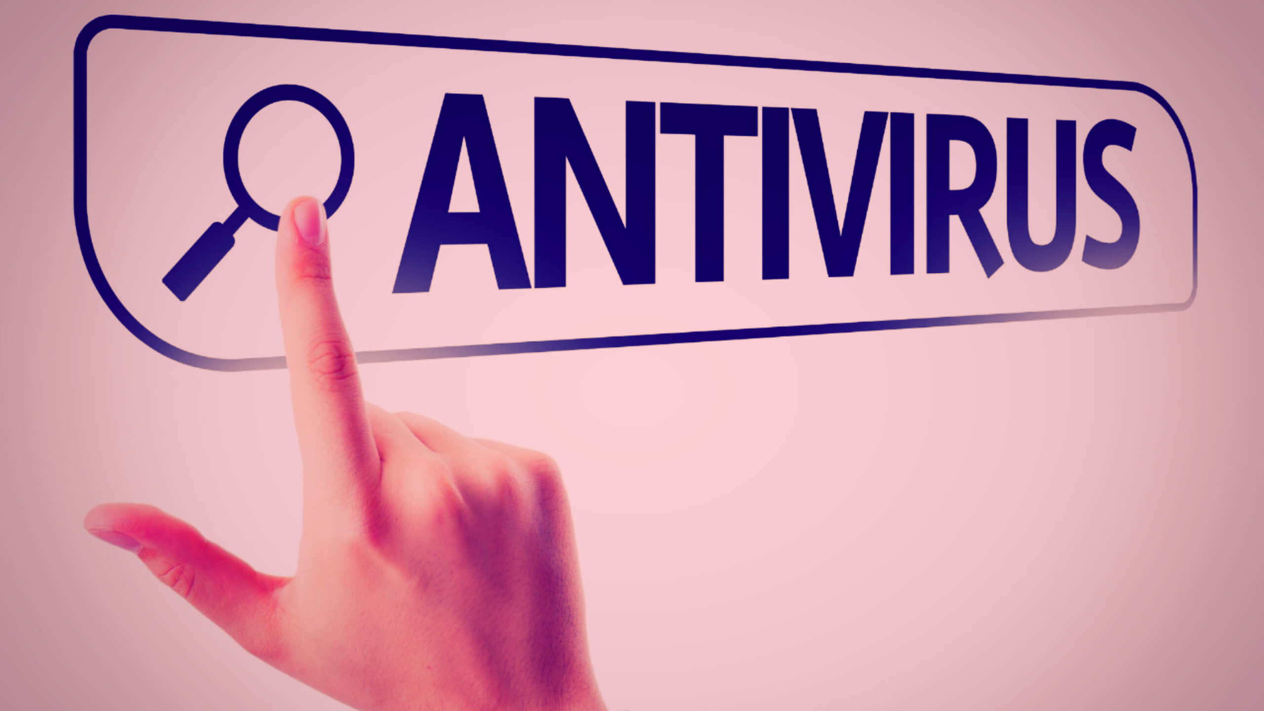 양배추에 풍부한 비타민C의 항바이러스 효과