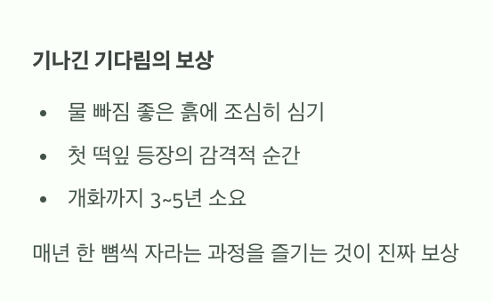 드디어 흙으로, 기나긴 기다림의 보상