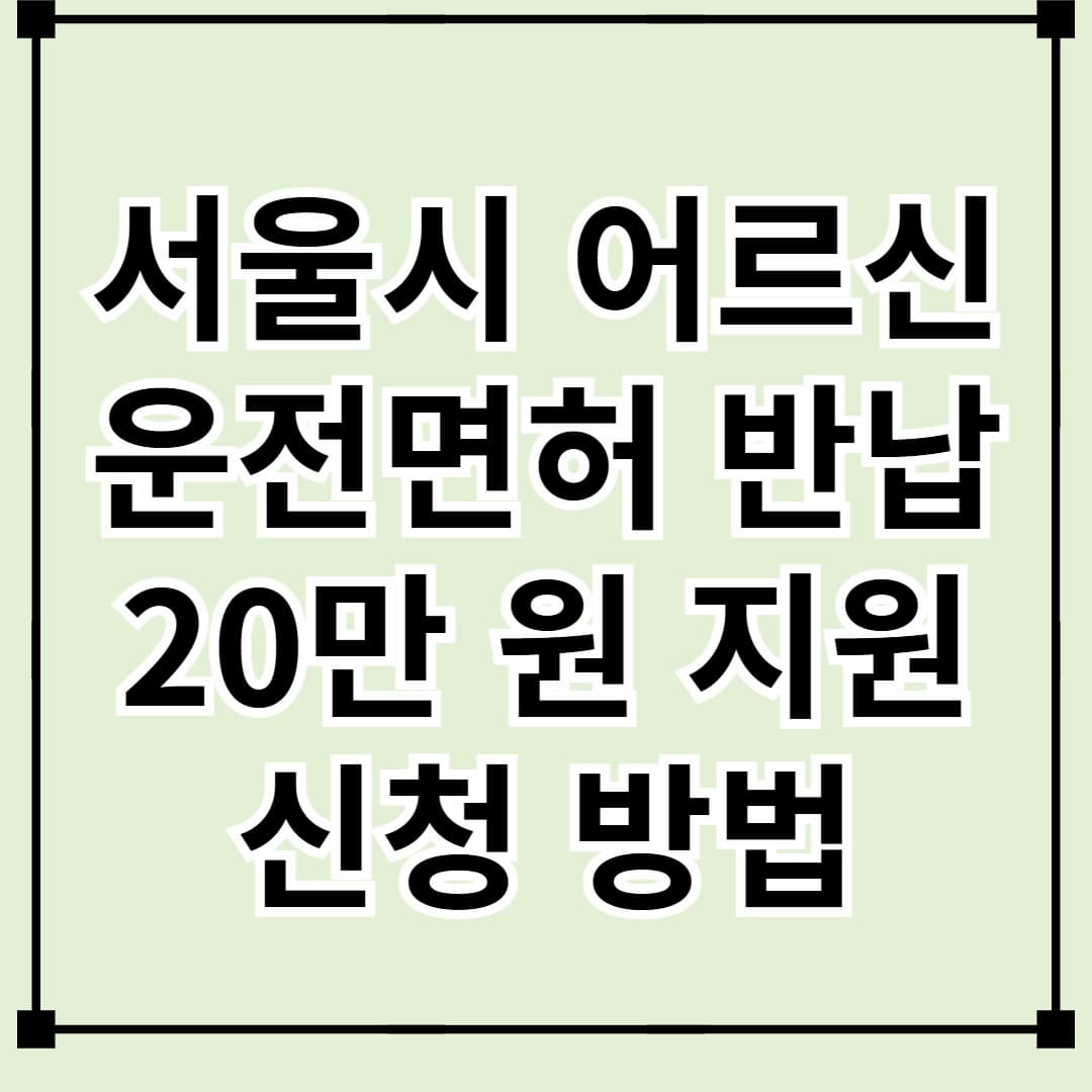 서울시 어르신 운전면허 반납하고 20만 원 교통비 지원– 2025년 변경사항 및 신청방법